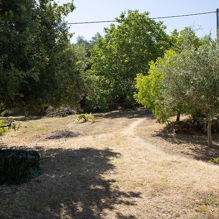 Ferienwohnung Apricus Domum Kato Korakiana Exterior foto